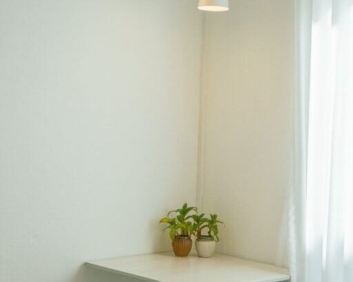 resized_228952